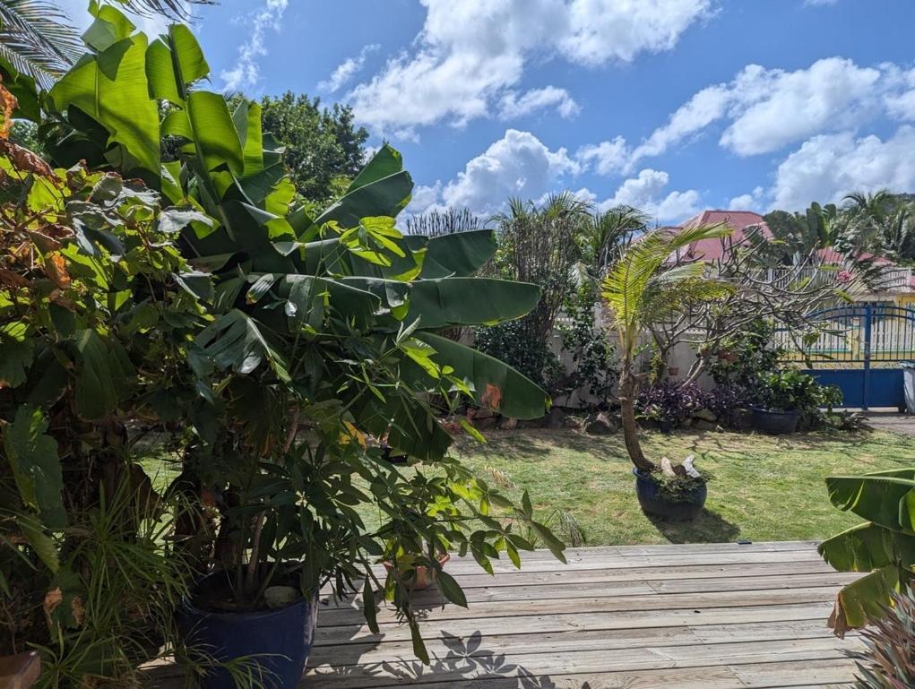 Sur L'Anse Villa Terre-De-Haut Ruang foto